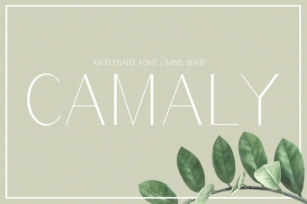 Camaly Font Download