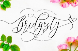 Bridgesty Font Download