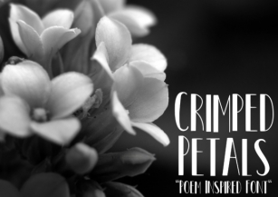 Crimped Petals Font Download