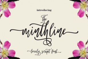 The Minthline Script Font Download