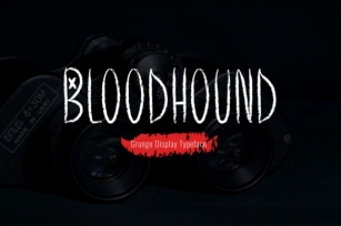 Bloodhound Font Download