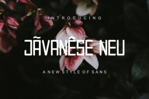 Javanese Neu Font Download