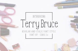 Terry Bruce Font Download