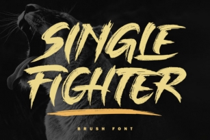 Single Fighter Font Download