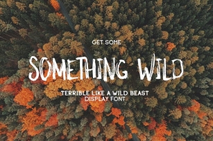 Something Wild Font Download