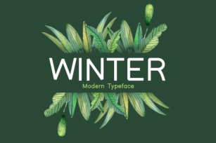 Winter Font Download