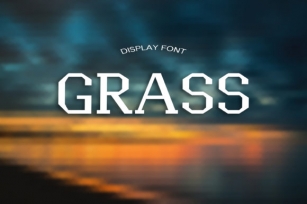Grass Font Download