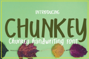 Chunkey Font Download