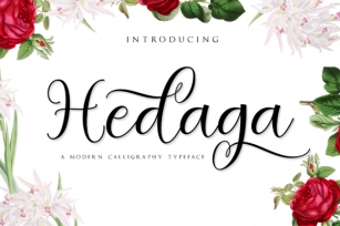Hedaga Font Download
