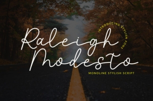Raleigh Modesto Font Download