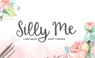 Silly Me Font Download