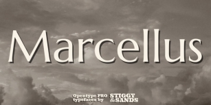 Marcellus Pro Font Download