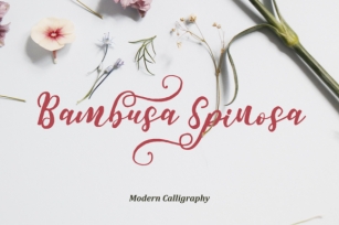 Bambusa Spinosa Font Download
