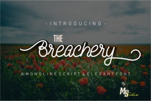 The Breachery Script Font Download
