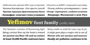 Yefimov Serif Font Download