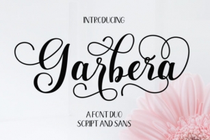 Garbera Duo Font Download