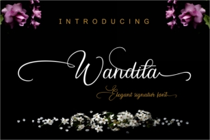 Wandita Font Download