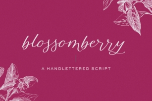 Blossomberry Font Download