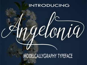 Angelonia Font Download