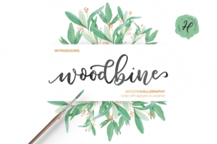 Woodbine Family Font Download