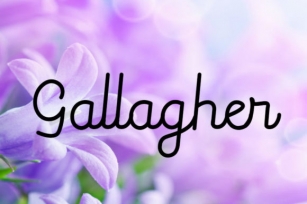 Gallagher Font Download