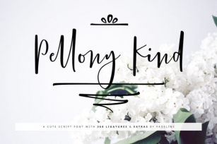 Pellony Kind Font Download