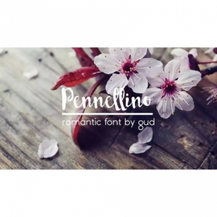 Pennellino Font Download