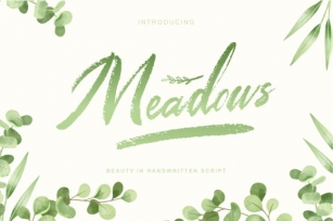 Meadows Font Download