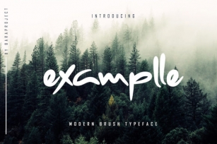 Examplle Font Download