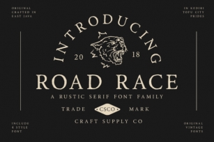 Road Race Family Font Download