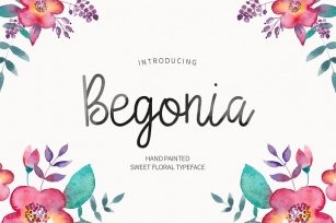 Begonia Font Download