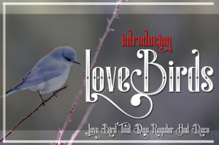 LoveBirds Font Download