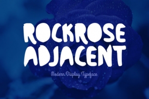 Rockrose Adjacent Font Download
