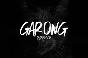 Garong Font Download