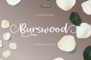 Burswood Font Download