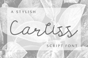 Carllis Font Download