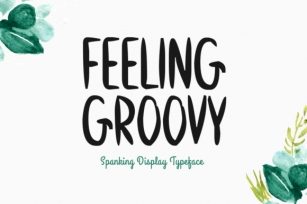 Feeling Groovy Font Download