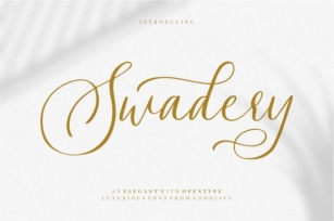 Swadery Font Download