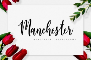 Manchester Font Download