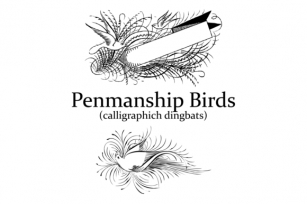 Penmanship Birds Font Download