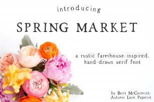 Spring Market Font Download