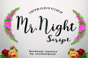 Mr. Night Font Download