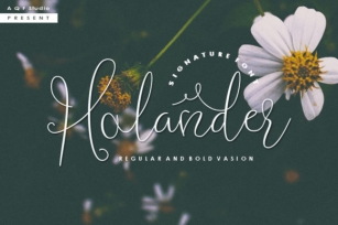 Holander Script Font Download