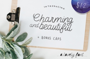 Charming & Beautiful Font Download