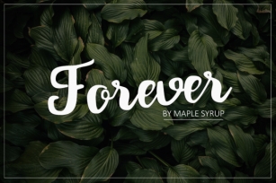 Forever Script Font Download