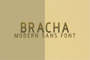 Bracha Font Download