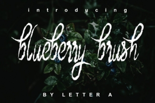 Blueberry Brush Font Download