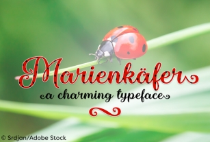 Marienkaefer Font Download