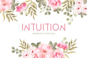 Intuition Font Download