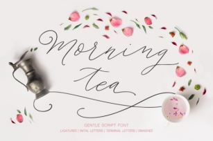 Morning Tea Script Font Download